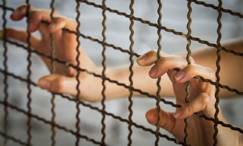 A child's hands grasping a welded wire mesh fence at a detainment facility.