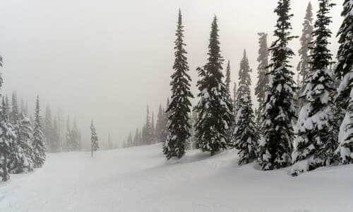 The snowy wilderness of Canada after a blizzard.