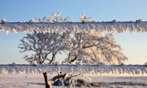 A wire fence coated in ice after a blizzard in Canada.