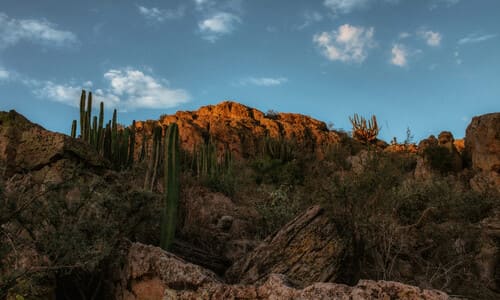 A landscape photo of the desert environment in Mexico at sunset.
